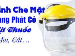 Nón Kính Che Mặt Blue Eagle B1